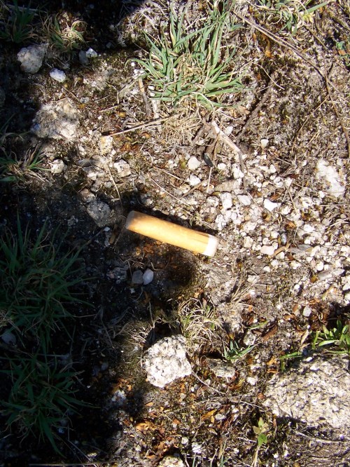 Cabichas tiradas no Monte Pituco. Perigo de incendio!