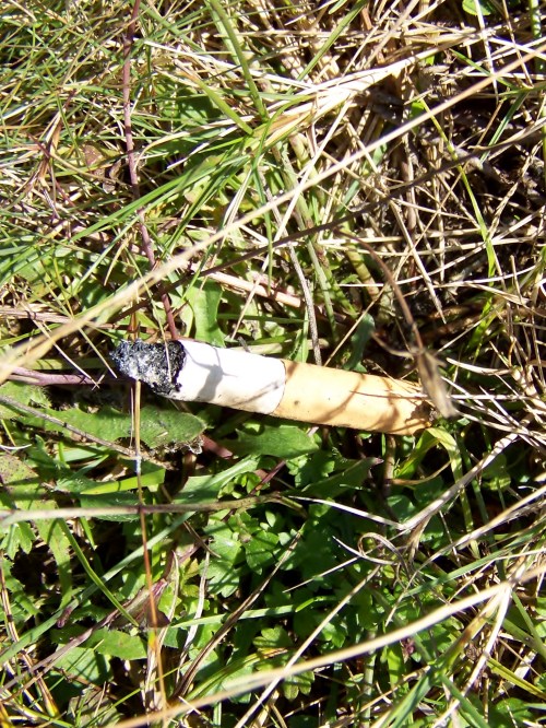 Cabichas tiradas no Monte Pituco. Perigo de incendio!