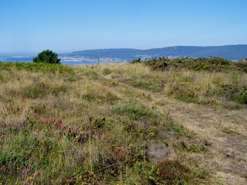 Zona na que se localizaron as cabichas tiradas.