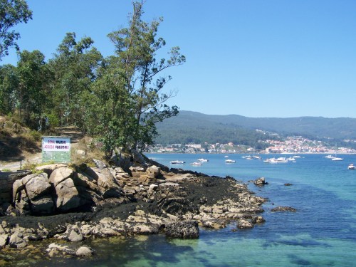 Tambo dende o embarcadoiro.