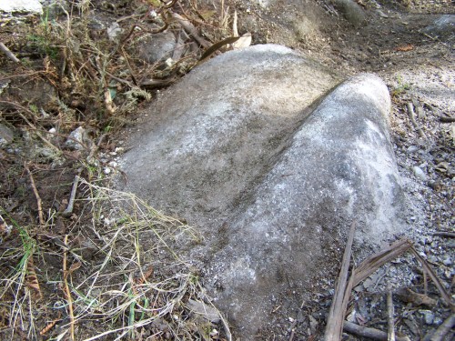 Rodeiras de carro destruídas baixo a nova pista.