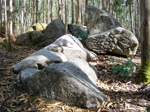 Complexo rupestre da Carrasca, Grupo VI.