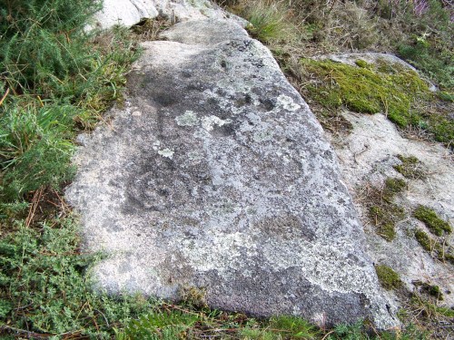 Petroglifo de Pinal de Caeiro.