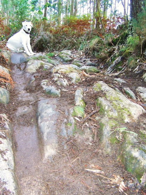 Antigo camiño de carro. Con marcas de rodeiras.