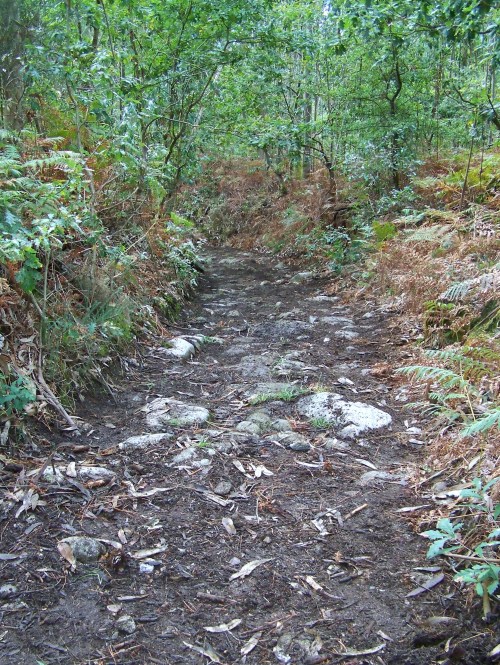 Antigo camiño de carro.