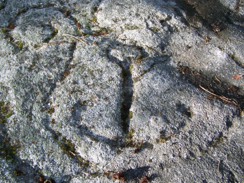 Detalle dun dos gravados de Pepito Meijón.