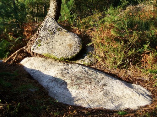 Un dos grupos do conxunto rupestre de Champás, con figuras de cérvidos.