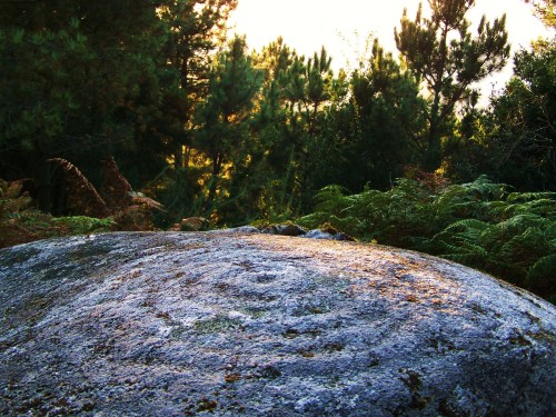 Un dos grupos do conxunto rupestre de Champás.