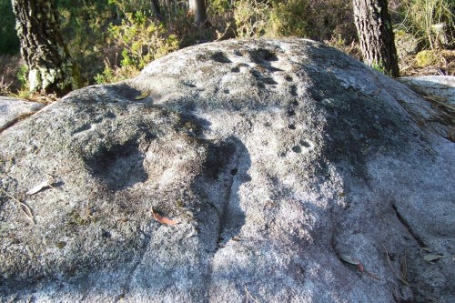 Gravados rupestres no camiño aos petroglifos de Champás.
