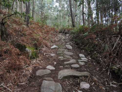 Antigo camiño de carro en dirección á Carrasca.