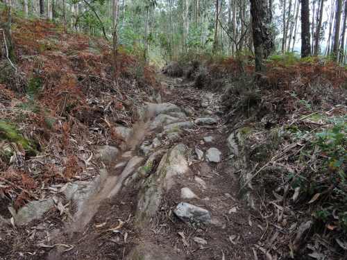 Antigo camiño de carro en dirección á Carrasca.
