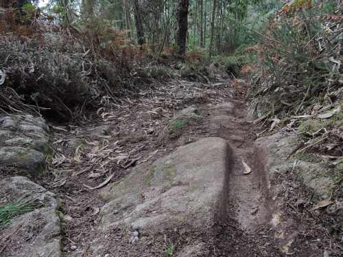 Antigo camiño de carro en dirección á Carrasca.