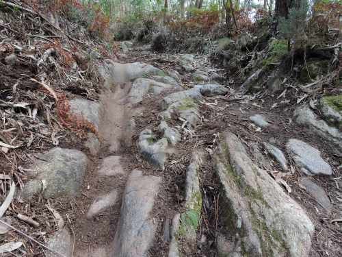 Antigo camiño de carro en dirección á Carrasca.