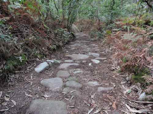 Antigo camiño de carro en dirección á Carrasca.