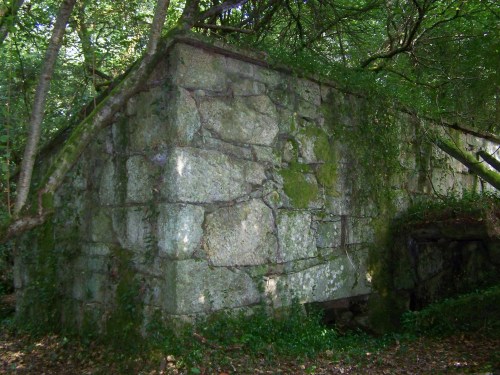 Muíño no río Loira, Marín.