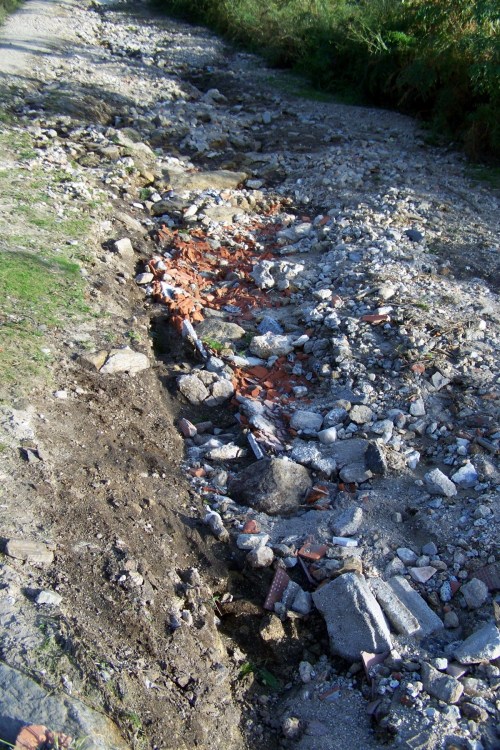 Efectos da cicloxénese Margit no Monte Pituco.