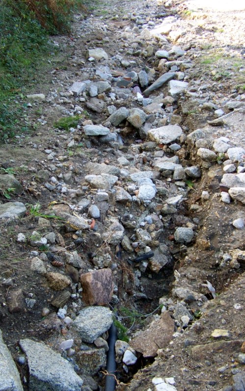 Efectos da cicloxénese Margit no Monte Pituco.