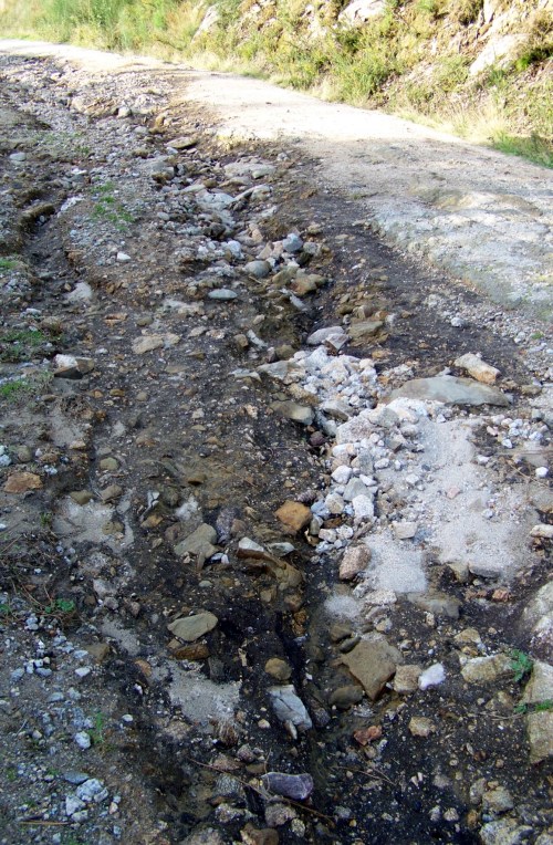 Efectos da cicloxénese Margit no Monte Pituco.
