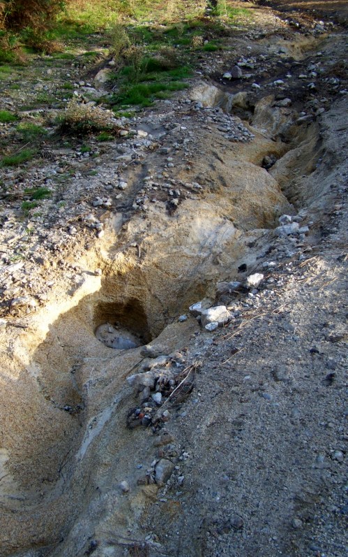 Efectos da cicloxénese Margit no Monte Pituco.