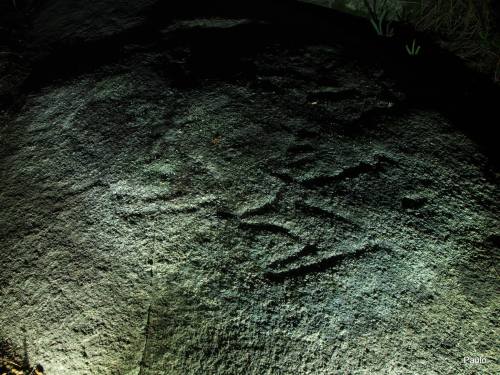 Foto, Paulo Troitiño.