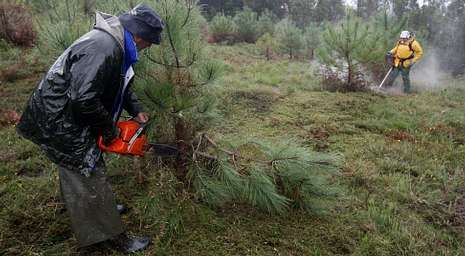 Foto, LaVoz de Galicia (Pontevedra).
