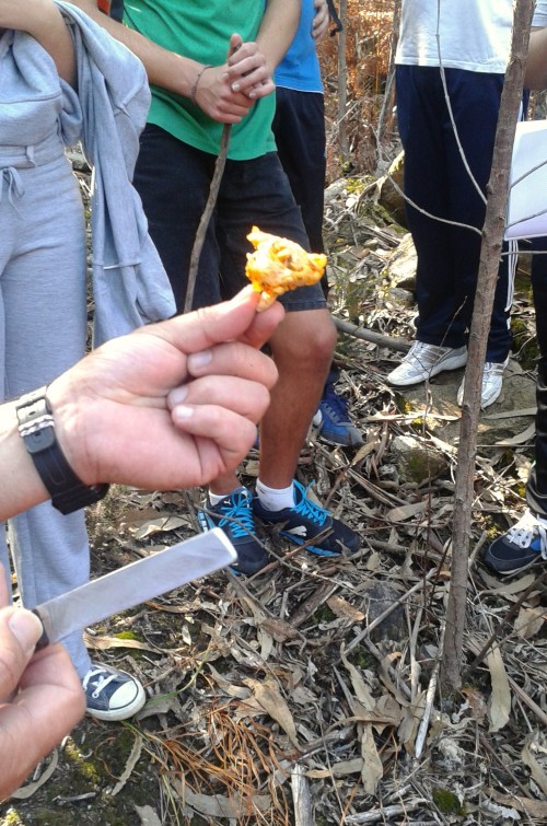 Estudantes marinenses no Monte Pituco.