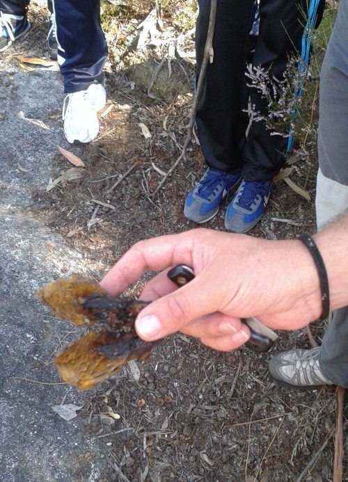Estudantes marinenses no Monte Pituco.