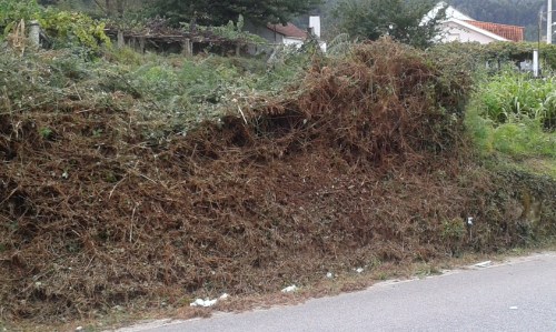 Desbrozadas as cunetas entre a Bouza e a Pena.