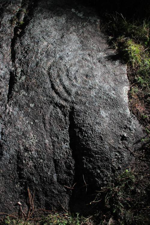 Foto, Colectivo A Rula (Compostela).