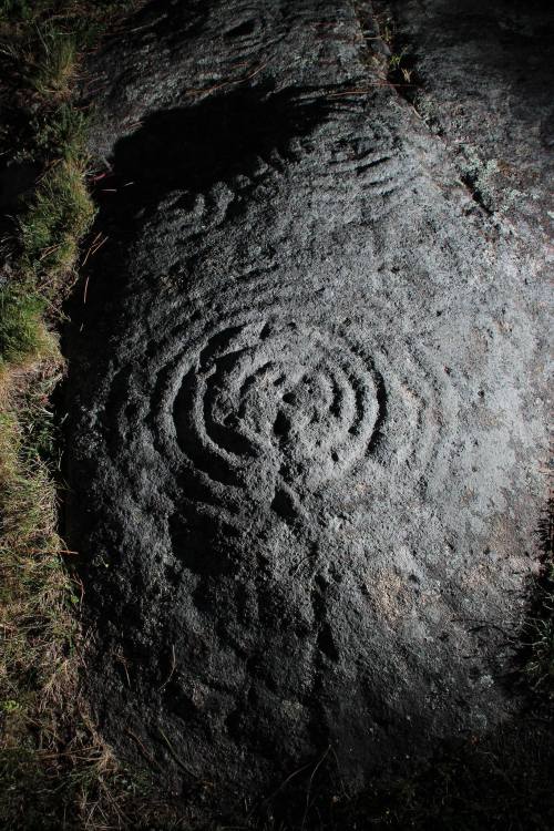 Foto, Colectivo A Rula (Compostela).