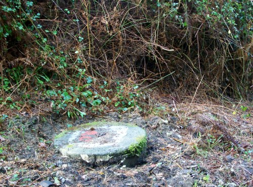 Andaina pola Serra da Fracha contra a A-57.