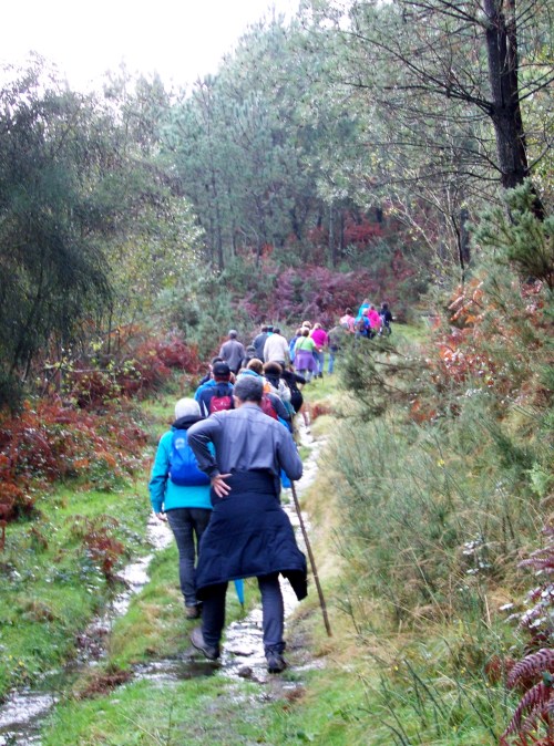 Andaina pola Serra da Fracha contra a A-57.