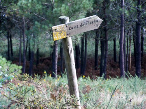 Andaina pola Serra da Fracha contra a A-57.