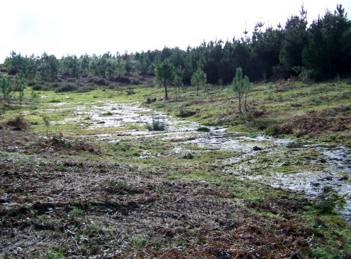 Andaina pola Serra da Fracha contra a A-57.