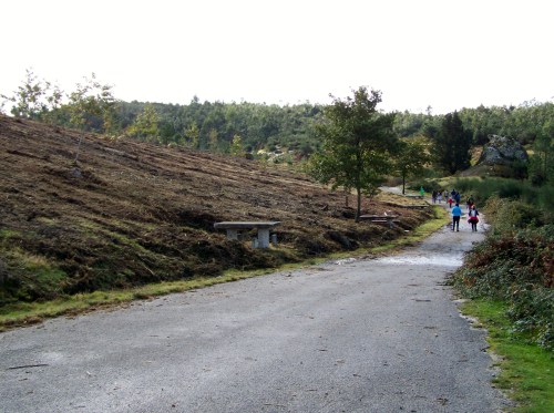 Andaina pola Serra da Fracha contra a A-57.