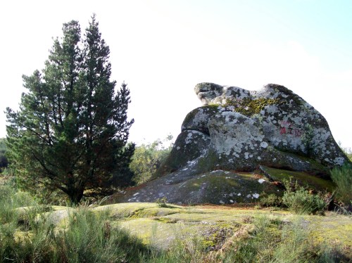 Andaina pola Serra da Fracha contra a A-57.