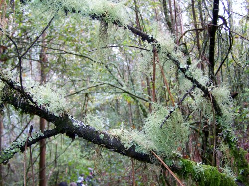 Andaina pola Serra da Fracha contra a A-57.
