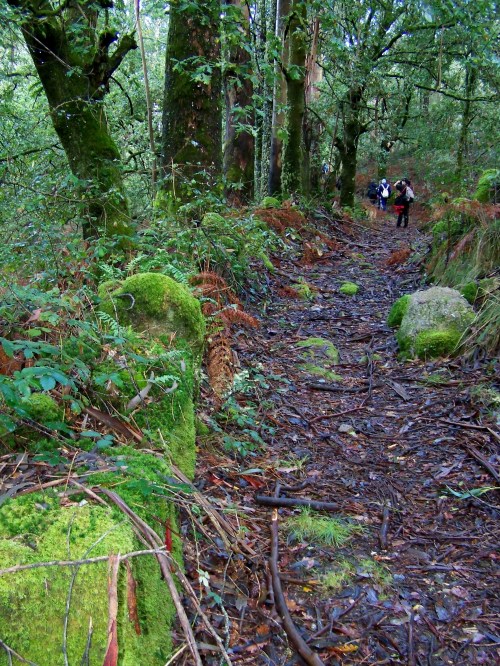 Andaina pola Serra da Fracha contra a A-57.