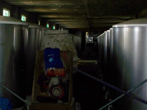 Andaina pola Serra da Fracha contra a A-57.