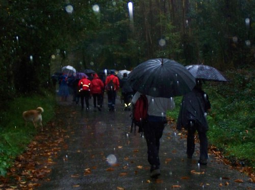 Ruta polos montes de Cela e Ardán.