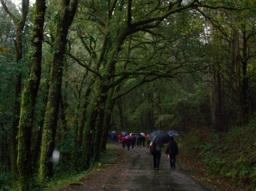 Ruta polos montes de Cela e Ardán.