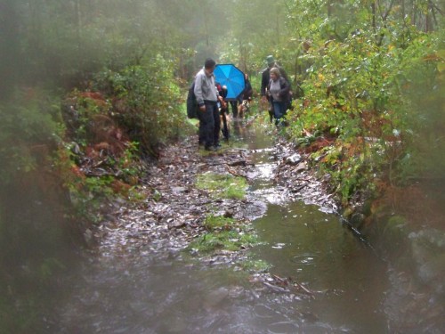 Ruta polos montes de Cela e Ardán.