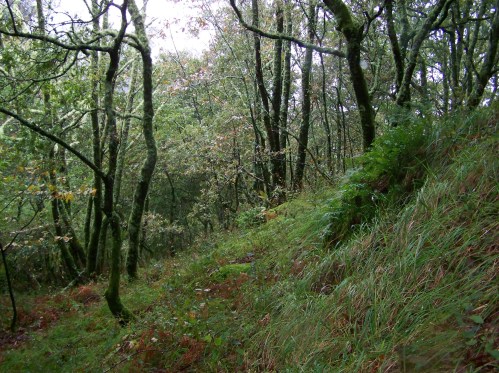 Ruta polos montes de Cela e Ardán.