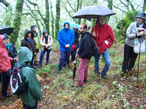 Ruta polos montes de Cela e Ardán.