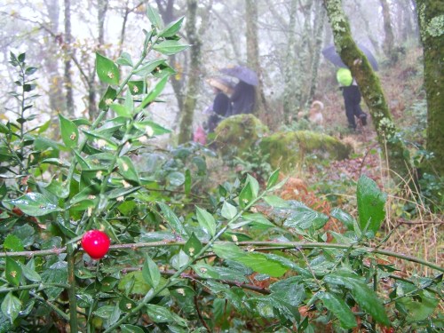 Ruta polos montes de Cela e Ardán.