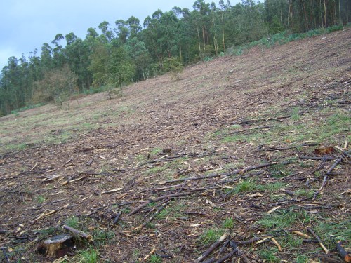 Ruta polos montes de Cela e Ardán.