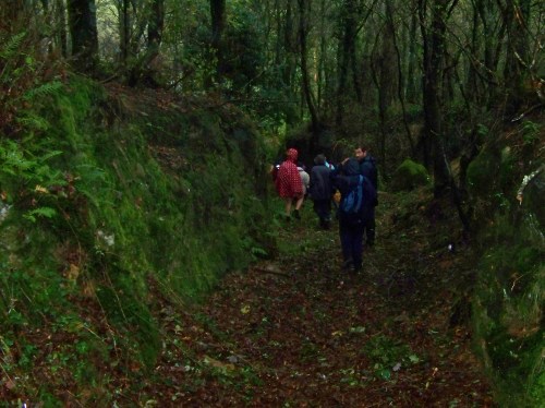 Ruta polos montes de Cela e Ardán.