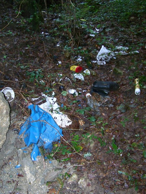 Ruta polos montes de Cela e Ardán.