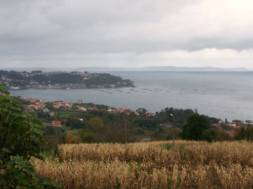 Ruta polos montes de Cela e Ardán.