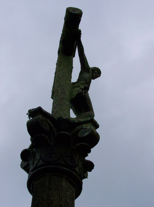 Ruta polos montes de Cela e Ardán.